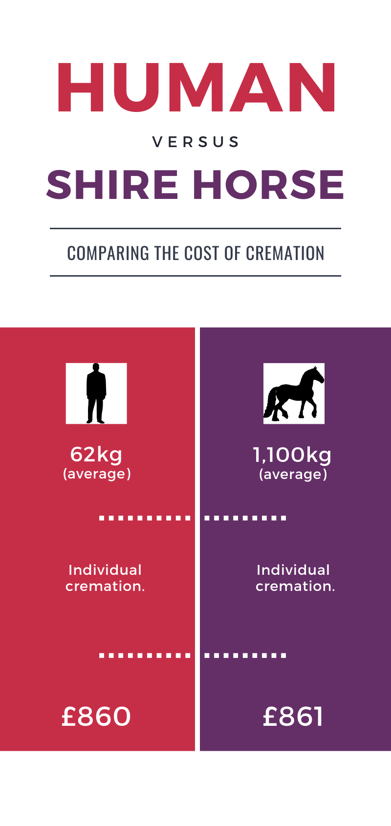 Infographic.Cost of cremating a human vs a shire horse